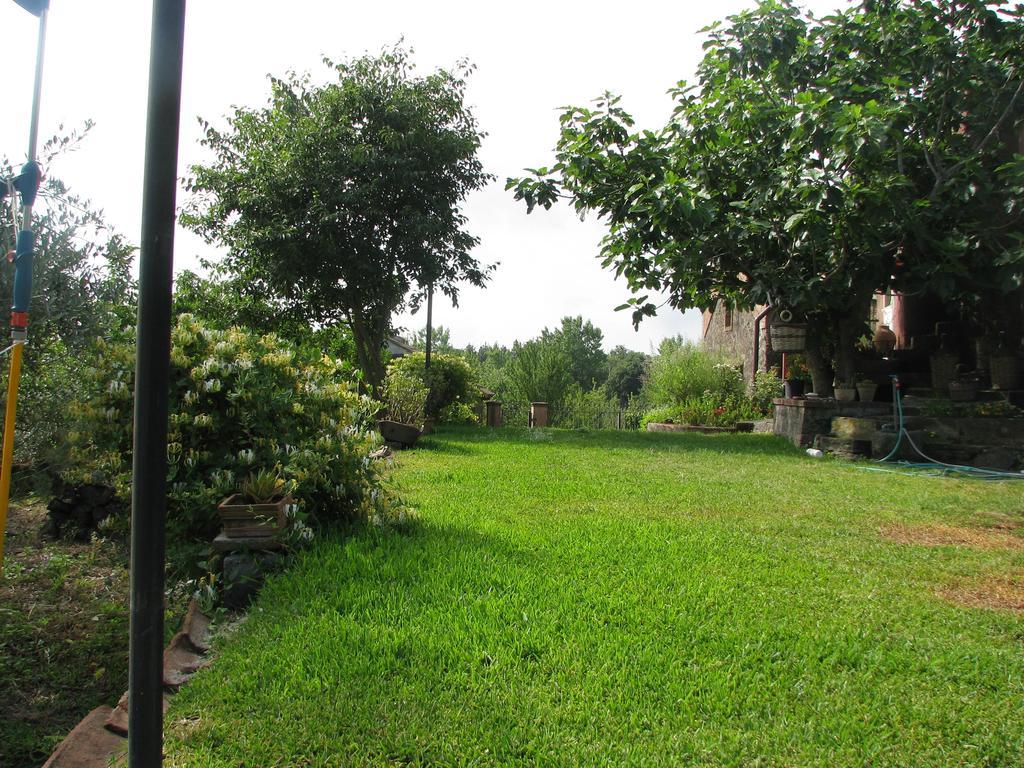 Domus Vini Villa San Giovanni La Punta Rom bilde